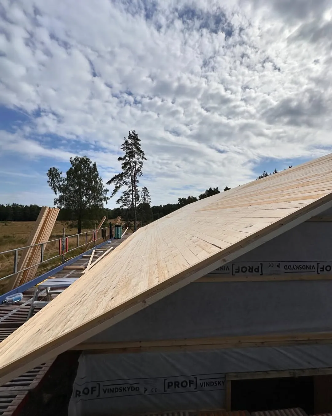 bygga hus